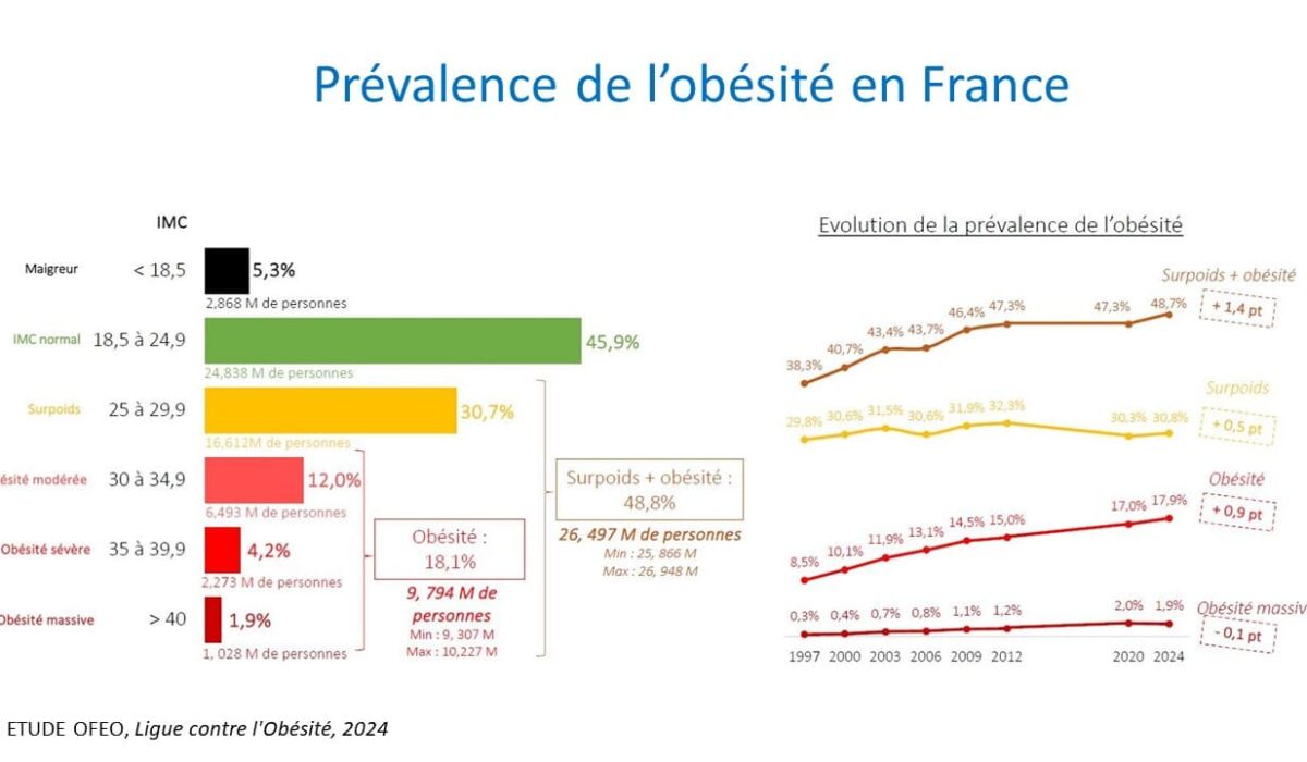 prévalence obésité